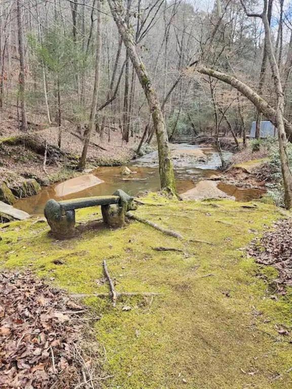 Cozy Cabin: River View With Hot Tub Dahlonega Extérieur photo