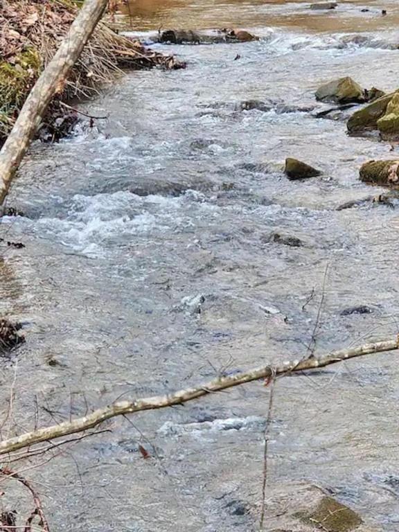 Cozy Cabin: River View With Hot Tub Dahlonega Extérieur photo